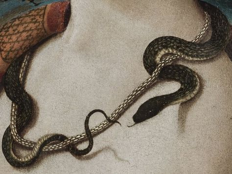 @archillect : https://t.co/0yRkWaea1G Simonetta Vespucci, A Snake, Classical Art, Black Mamba, Chiaroscuro, Classic Art, Aesthetic Art, A Black, Art Inspo