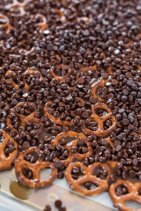 Carmel Chocolate Pretzels, Pretzel And Chocolate, Caramel Pretzel Bars, Chocolate Pretzel Bars, Chocolate Pretzels Recipe, Easy Christmas Treat, Homemade Chocolate Bark, Christmas Sweets Recipes, Easy Homemade Caramel