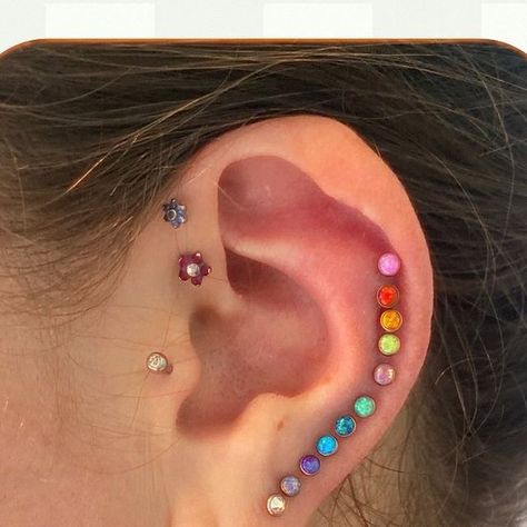 89 likes, 0 comments - piercingsbygrey on August 29, 2024: "Michelle came in with a vision & her ear has only gotten more magical over the years. Although i haven’t had the pleasure of piercing her (yet!) we did make all of her existing piercings an opal rainbow. Owen did most of the piercings you see on her ear!Thanks so much for the trust ✨  - - -  Earlobe & Helix Piercings: opal cabochon from @neometaljewelry   - - -  .   .  .  .  .  #truelovebodypiercing #bodyjewelry #bodypiercing #bodyart #piercing Self Piercing, Ear Styling, Helix Piercings, Ear Style, Tragus Piercing, Helix Piercing, Helix, Body Jewelry, True Love