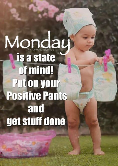 Daily Humor Quotes, Crazy Monday Humor, Monday Is Over Funny, Positive Weekend Quotes, Monday Humor Hilarious Laughing, Monday Motivation Humor Funny, Good Morning Monday Funny, Happy Monday Quotes Funny, Monday Motivation Humor