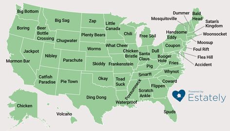 Map shows America's weirdest town names by state — see which Minnesota cities made the list Weird Town Names, Friendship Wedding, Weird Names, City Names, Amazing Maps, Young House Love, Town Names, State Of Oregon, Video Viral