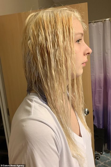 Wet Blonde Hair, Home Hair Coloring, Bleach Hair Dye, Grand Forks North Dakota, Hair Fails, Bleach Hair, Bleach Blonde Hair, At Home Hair Color, Hair Issues