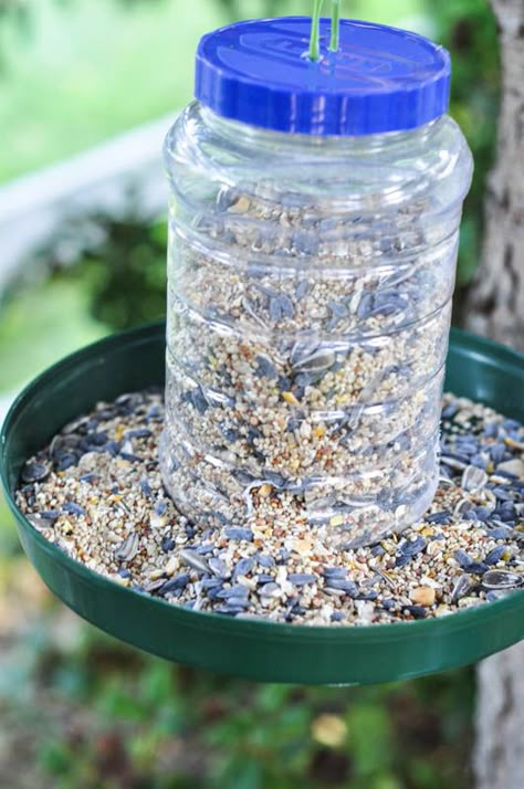 Bird Feeder Craft, Birdhouse Craft, Homemade Bird Feeders, Bird House Feeder, Peanut Butter Jar, Diy Bird Feeder, Diy Birds, Bird Houses Diy, Bird Crafts