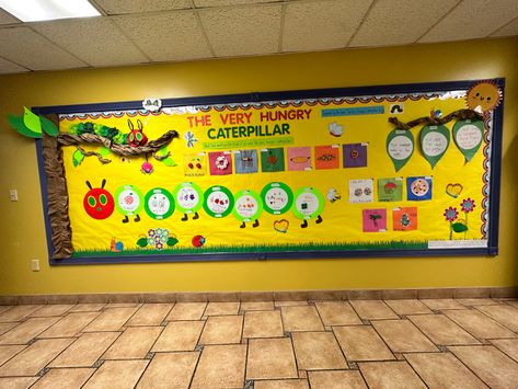 Eric Carle Bulletin Board Ideas, The Very Hungry Caterpillar Bulletin, Hungry Caterpillar Bulletin Board, Birthday Boards Classroom Preschool, Caterpillar Bulletin Board, Hungry Caterpillar Classroom, Birthday Board Classroom, Kindergarten Classrooms, Lead Teacher