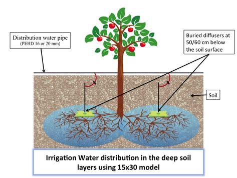 Tree Irrigation, Irrigation Methods, Garden Irrigation, Drip Irrigation, Soil Layers, Ornamental Trees, Water Pipes, Trees And Shrubs, Fruit Trees