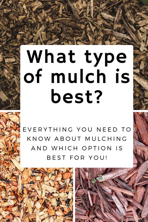 Confused by which mulch you should be using in your garden? Here is all the information you need to pick the best one for your project. Broken down into simple, informative, descriptions of the most common mulch types you won't ever be second guessing yourself again! Mulching Vegetable Garden, Best Mulch For Landscaping, Best Mulch For Vegetable Garden, Mulching Ideas, Second Guessing Yourself, Mulch Around Trees, Tree Mulch, Garden Mulch, Types Of Mulch