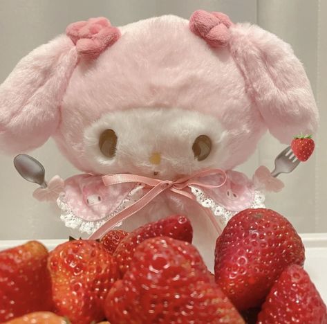 Charmmy Kitty, Soft Pink Theme, Melody Hello Kitty, Kawaii Core, Kawaii Plushies, Hello Kitty My Melody, Hello Kitty Pictures, Hello Kitty Plush, Hello Kitty Items