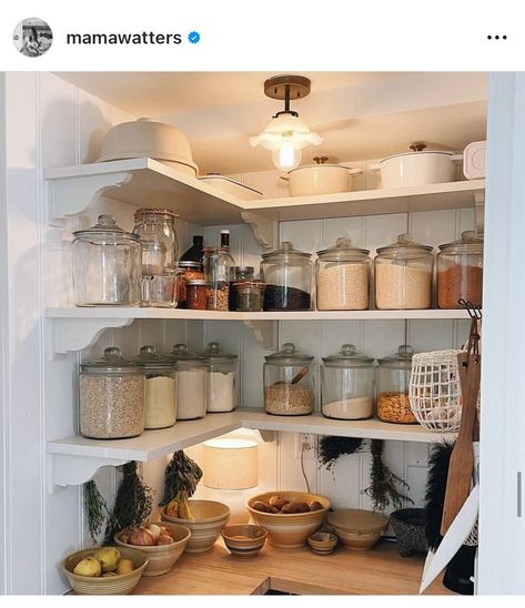 Small Reach In Pantry, Reach In Pantry, Kitchen Necessities, Pantry Organization, Rustic Decor, Pantry, Canning