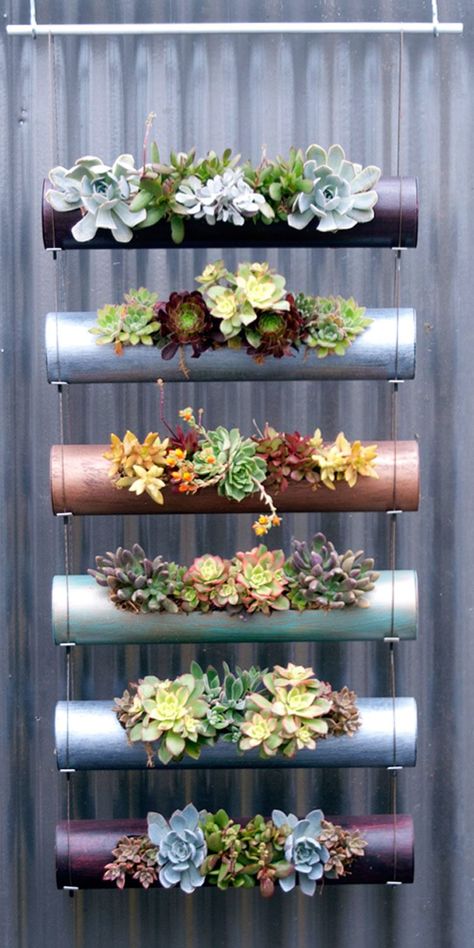 diy succulent vertical garden made of standard PVC pipes Planting Bulbs In Spring, Plantarea Legumelor, Garden Ideas To Make, Garden Solutions, Hanging Succulents, Garden Journal, Pergola Designs, Garden In The Woods, Edible Plants