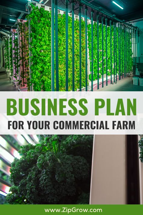 Commercial Greenhouse Ideas, Farm Business Plan Template Free, Hydro Plants, Agriculture Business Plan, Manufacturing Business Ideas, Hydro Plant, Plant Business, Write A Business Plan, Commercial Farming