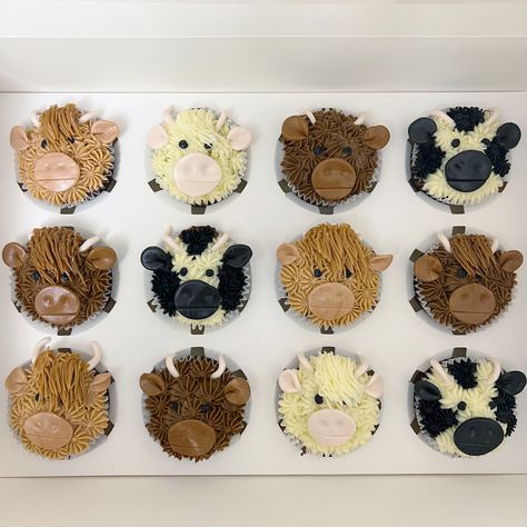 Cow And Pig Cupcakes, Cow Face Cupcakes, Brown Cow Cupcakes, Steer Cupcakes, Black And White Cow Cupcakes, Buttercream Cow Cupcakes, Cow Doughnut, Cute Cow Cupcakes, Cow Decorated Cupcakes