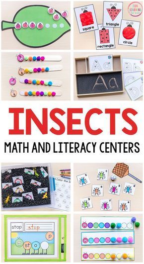 Insects Kindergarten, Insect Craft, Literacy Activities Preschool, Bug Activities, Insects Preschool, Bugs Preschool, Insect Activities, Insect Crafts, Insects Theme