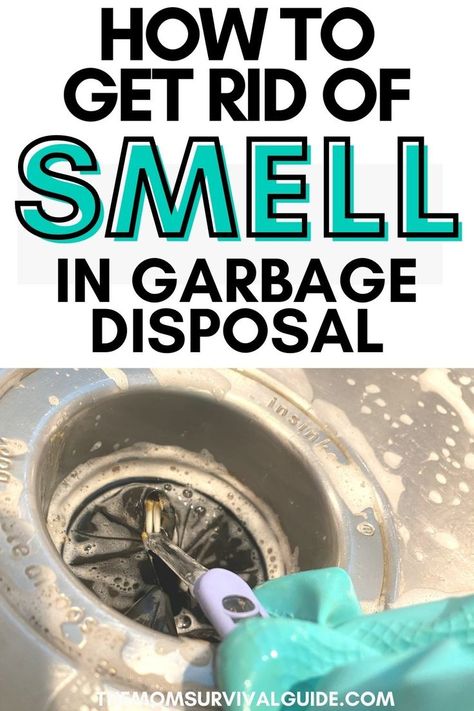 Learn the best ways to get rid of garbage disposal smells for good with these cleaning tips. Vinegar Cleaning Solution, Garbage Disposal Cleaning, Garbage Disposal Cleaner, Disposal Cleaner, Trash Disposal, Best Cleaner, Home Smell, Vinegar Cleaning, Cleaning Techniques