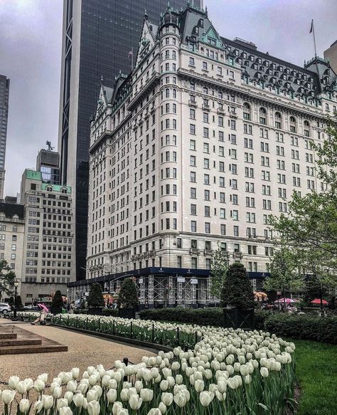 The Plaza Hotel Nyc, The Plaza Hotel, Ny Hotel, New York City Vacation, Nyc Hotels, Nyc Aesthetic, New York Aesthetic, Plaza Hotel, The Plaza