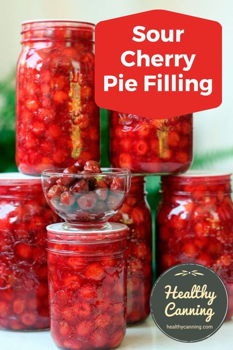 Sour Cherry Pie Filling, Healthy Canning, Sour Cherry Recipes, Cherry Pie Filling Recipes, Sour Cherry Pie, Canning Fruit, Canning Cherry Pie Filling, Home Canning Recipes, Strawberry Pie Filling