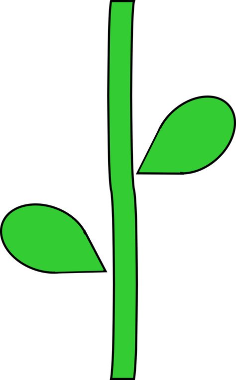 Flower Stem by @barnheartowl, A green flower stem, on @openclipart Stem Template, Printable Leaves, Flower Outline, Preschool Art Activities, Leaf Template, Soyut Sanat Tabloları, Flower Stem, Cartoon Flowers, Flower Printable