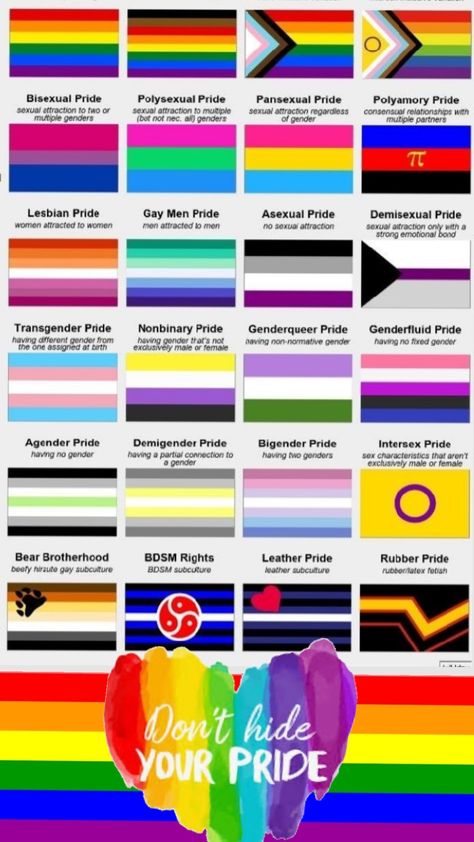 These are some of the many pride flags incase you didn't know any 🏳️‍🌈🫶 Lgbtq Icons, Lgbt Flags, Lgbt Flag, Flag Icon, Pride Flag, Pride Flags, Little Miss, Vision Board, Flag