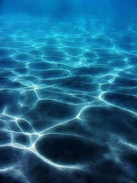 Light dancing underwater. Impossible not to look at this and get inspired to protect this beautiful planet. Kristina Webb, Under The Water, Underwater Photography, Sea And Ocean, Underwater World, Ocean Life, Ocean Waves, Sea Life, Blue Sea