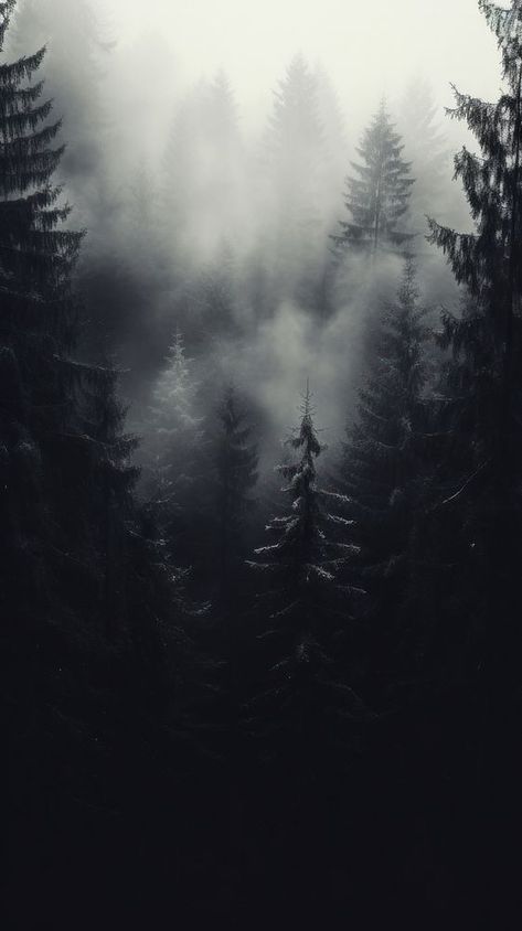 Forest outdoors woodland nature.  | premium image by rawpixel.com / Wit Scene Black And White, Monochrome Forest, Scene Black, Black And White Wallpaper, White Wallpaper, Free Design Resources, Black Aesthetic, Mobile Wallpaper, Creative Studio