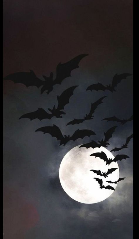 Black And White Halloween Pictures, Bats Flying, Witch Wallpaper, Halloween Wallpaper Backgrounds, Halloween Background, Gothic Wallpaper, Witchy Wallpaper, Wallpaper Halloween, Halloween Cake