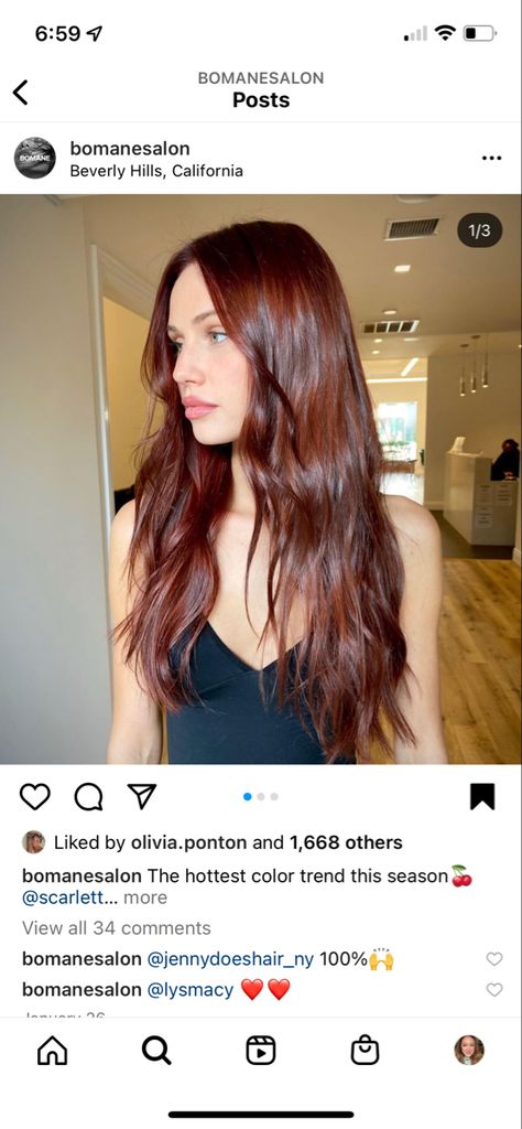 Deep Brown Hair Pale Skin, Dark Brown Dark Red Balayage, Brownish Red Hair Color Pale Skin, Dark Copper Hair Color Burgundy, Red Brown Hair On Pale Skin, Red Brown Hair Pale Skin, Shay Mitchell Hair Red, Brown Hair With Red Tint Natural, Red Undertones Hair Brown