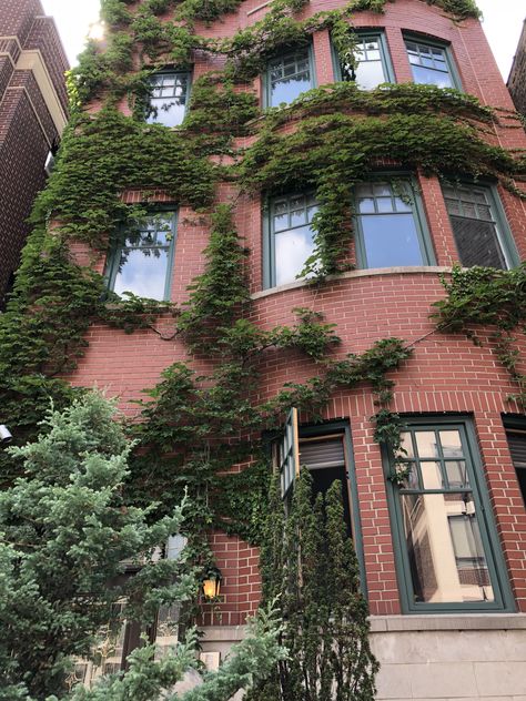 Brick house with ivy Brick And Ivy Aesthetic, Vines On House Exterior, Ivy House Exterior, Ivy On House Exterior, Brick House With Vines, House With Ivy, Brick House With Ivy, House With Vines, Ivy Painting