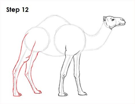 Camel Drawing, Camel Craft, Camel Painting, Camels Illustration, Camel Art, Draw Trees, Animal Tutorial, Camels Art, Drawing Instructions