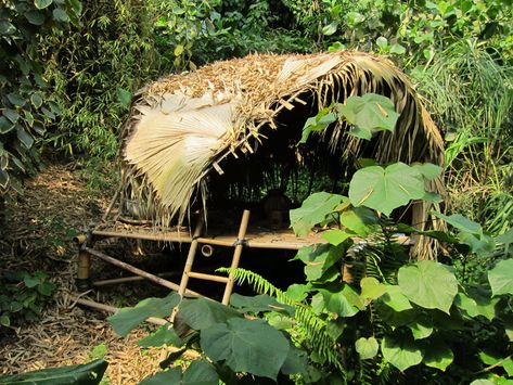 Tropical Survival Shelter, Deserted Island Survival, The Eden Project, Island Survival, Deserted Island, Uninhabited Island, Eden Project, Survival Shelter, The Eden