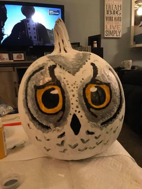 Hedwig Pumpkin Painting, Dobby Pumpkin, Hedwig Pumpkin, Harry Potter Pumpkin Painting Ideas, Harry Potter Trunk, Harry Potter Pumpkin, Harry Potter Owl, Character Pumpkins, Harry Potter Houses