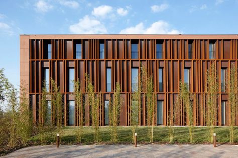 Second Skin Facade, Hotel Facade, Building Skin, Wood Facade, Architecture Panel, Architecture Rendering, Building Facade, Facade Architecture, Facade Design