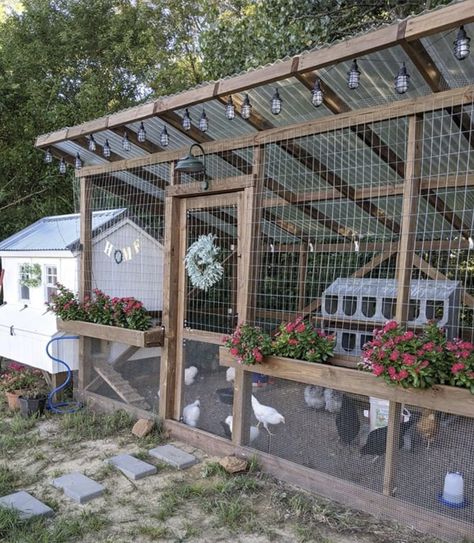 Chicken Pens Ideas, Goose Coop Ideas, Boho Chicken Coop, Pigeon Coop, Chicken Pens, Chicken Coop With Tunnel, Chicken And Duck Coop Combo, Chicken Run, Massive Chicken Coop