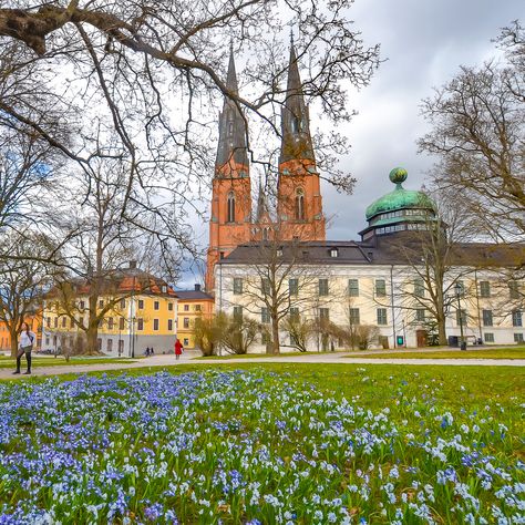 Spring In Sweden, Old City Buildings, Sweden Aesthetic, Travel Sweden, Uppsala Sweden, Rat Dog, Sweden Travel, Dream Vision Board, Scandinavian Countries