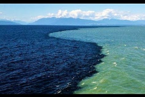 John S on Instagram: “Here is an image of the Atlantic and Pacific Ocean meeting - oddly enough the water DOES NOT MIX. The reason for this strange phenomenon…” Ocean Names, Mildly Interesting, Ocean Images, Nature Meaning, Fraser River, Bodies Of Water, Beach At Night, Atmospheric Phenomenon, Wild Nature