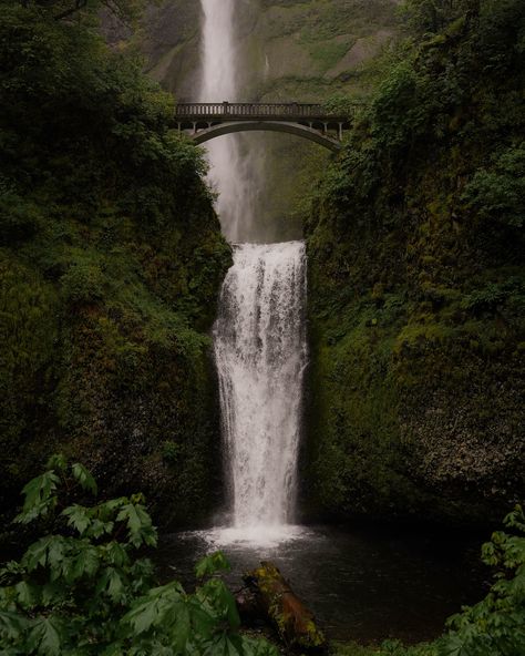 This one deserves its own moment on the feed 🌲✨ 📍Multnomah Falls, Oregon #naturephotographer #outdoorsy #visitoregon #oregon #chasinwaterfalls #moodynature #moodyvibes #pnw #traveldiaries #travellifestyle #waterfallhike #portland Airplane Home, Toketee Falls, Umpqua Hot Springs, Multnomah Falls Oregon, Visit Oregon, Multnomah Falls, Waterfall Hikes, Crater Lake, Cannon Beach