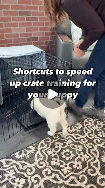 Kim Paciotti Puppy Training Specialist CPDT-KA on Instagram: "Here’s how you can speed up the process and help your puppy feel at home in their crate—without all the crying.

🌟 Step 1: Start crate training immediately by making the crate a positive space. Use treats, toys, and the puppy’s favorite bedding inside the crate. Feed meals in the crate.  This builds a positive connection faster than simply using the crate for confinement.

🌟 Step 2: For puppies that hate the crate, start with very short periods—just a few minutes—of confinement with the door closed. Slowly increase the time. Reward them with praise or treats when they enter the crate and when they are quiet inside. Keep initial crate sessions short to avoid overwhelming them. In the beginning, use the best possible treats that Puppy Crate Setup, Training Specialist, Crate Training Puppy, Puppy Crate, Teacup Yorkie, Crate Training, In The Beginning, Puppy Training, Training Tips