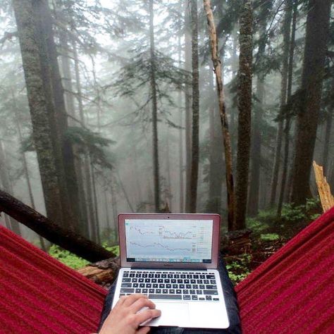 Laptop Photography, Summer Nature Photography, Digital Nomad Life, Film Photography Tips, Digital Nomad Lifestyle, Laptop Travel, Digital Entrepreneur, Laptop Lifestyle, Life Board