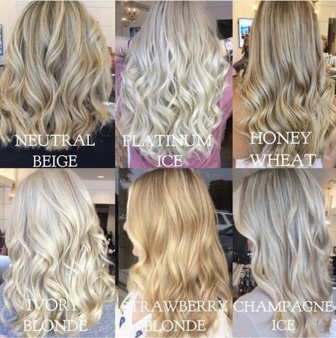 Blonde Hair Color Guide, All Over Cool Blonde Hair Color, Neutral Beige Hair Color, Silver And Gold Hair Color, One Tone Blonde Hair, Non Bleach Blonde Hair, Beige Vs Ash Blonde Hair, Neutral Skin Blonde Hair, Champagne Ice Blonde Hair