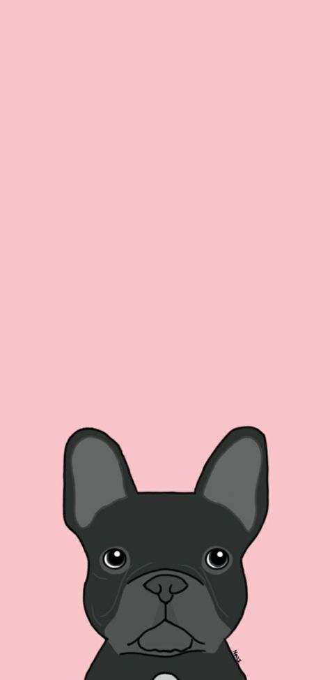 Wallpaper Iphone 11wallpaper, Frenchie Wallpaper, Fun Phone Wallpaper, Grey Frenchie, French Bulldog Wallpaper, Bulldog Wallpaper, Dog Wallpaper, French Bulldogs, Wallpaper Aesthetic