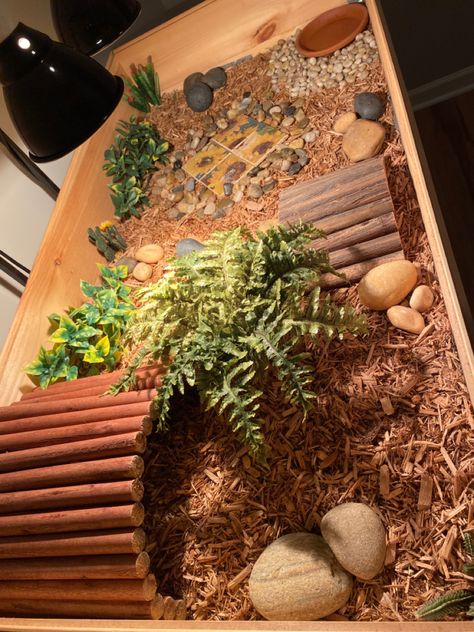 Small Tortoise Habitat Indoor, Tortoise Cage Ideas, Horsefield Tortoise Enclosure Indoor, Tortoise Tank Ideas Indoor, Tortoise Table Indoor Diy, Russian Tortoise Enclosure Indoor, Diy Tortoise House, Tortoise Terrarium Indoor, Redfoot Tortoise Enclosure Indoor