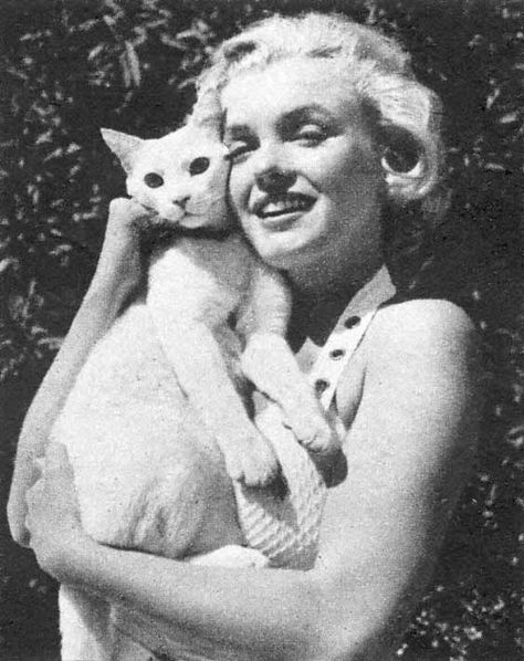 Marilyn Monroe and Kitty in white | Community Post: 45 Amazing Pictures Of Celebrities And Cats Holding A Cat, Celebrities With Cats, Stars D'hollywood, Joe Dimaggio, Marilyn Monroe Photos, Norma Jean, Norma Jeane, Cat People, 인물 사진