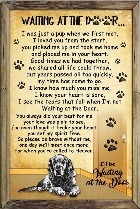 Dog Poems, Dog German, Pet Remembrance, Dogs Love, Dog Sitting, Pet Loss, Pet Stuff, Animal Quotes, Pet Memorial