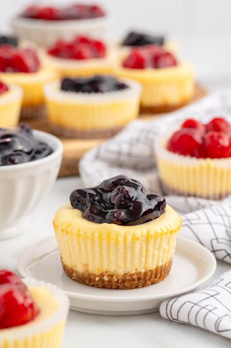 mini cheesecake with blueberry topping. Individual Cheese Cakes Recipes, Recipe For Mini Cheesecakes, Mini Individual Desserts, Little Cheesecakes, Cheesecake Muffin Recipes, Cheesecake Tarts Mini, Muffin Tin Cheesecake, Blueberry Cheesecake Mini, Mini Cheesecake Recipes Easy