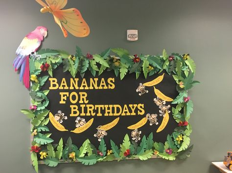 Wild About Kindergarten Bulletin Board, Jungle Theme Ideas For Preschool, Jungle Theme For Preschool Classroom, Safari Themed Preschool Classroom, Bulletin Board Jungle Theme, All About Me Jungle Theme, Safari Board Ideas Classroom Themes, Jungle Theme Infant Classroom, Safari Themed Classroom Ideas