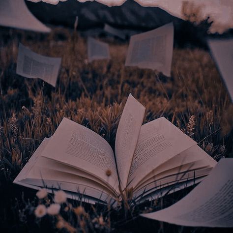 Library Aesthetic, Book Wallpaper, Dark Academia Aesthetic, Fantasy Aesthetic, Dark Photography, Brown Aesthetic, Aesthetic Images, Character Aesthetic, Aesthetic Vintage