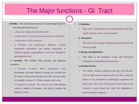 Gi Tract Disorders, Protein Metabolism, Gastric Juice, Gastrointestinal Disorders, Gastrointestinal System, Gi Tract, Large Intestine, Immune Response, Digestive Enzymes