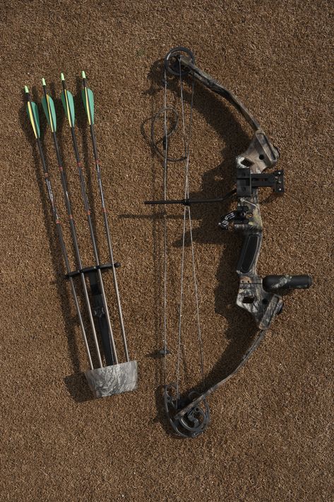 Hunting Bows, Bow Hunting Accessories, Archery Sport, Bow Hunting Deer, Hunting Bow, Types Of Bows, Fancy Bows, Archery Bows, Archery Equipment