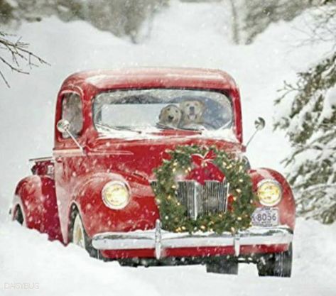 Christmas Shoot, Vibrant Wall Art, Car Poster, With Christmas Tree, Christmas Car, Merry Christmas To You, Christmas Canvas, Christmas Past, Red Car