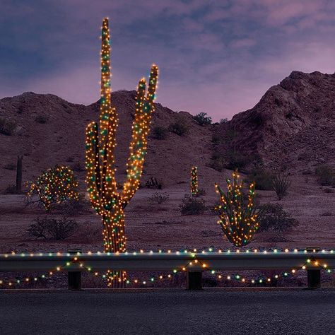 Desert Christmas Decor, Arizona Christmas, Cactus Accessories, Desert Christmas, Christmas In La, Southwest Christmas, Cactus Christmas Trees, Arizona Backyard, Winter Deserts