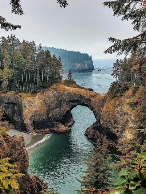 📍Natural Bridges, Brookings Oregon 🇺🇸 Brookings Oregon, Oregon Nature, Oregon Trip, Oregon Waterfalls, Spring Break Trips, West Coast Road Trip, Adventure Travel Explore, Natural Bridge, Oregon Washington