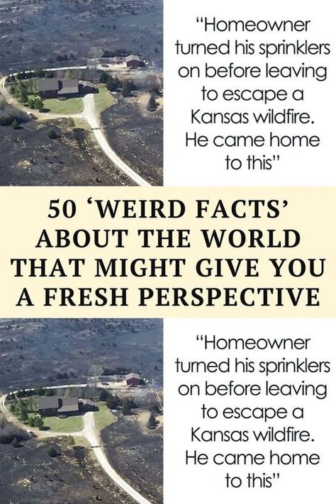 Facts About The World, Cool Facts, Spotlight Stories, Instagram Page, New Things To Learn, Nature Aesthetic, Interesting Facts, I Don T Know, Don T Know